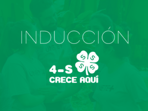 induccion-4s (1)