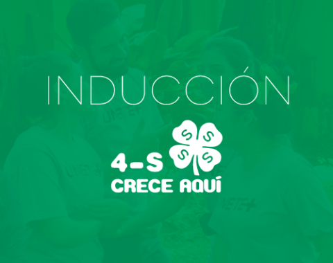 Inducción a FUERSA